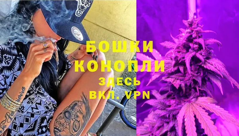 hydra как войти  Кологрив  Шишки марихуана Amnesia 